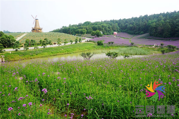 南京谷里大塘金拓展團(tuán)建基地