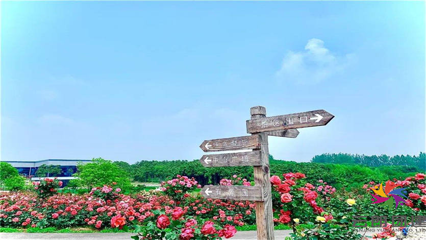 南京湯山月季園團(tuán)建基地